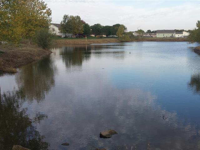 A peaceful pond with lush grass and trees
